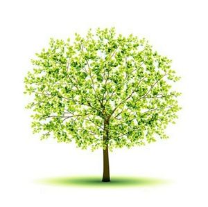 Meet your Posher, KO